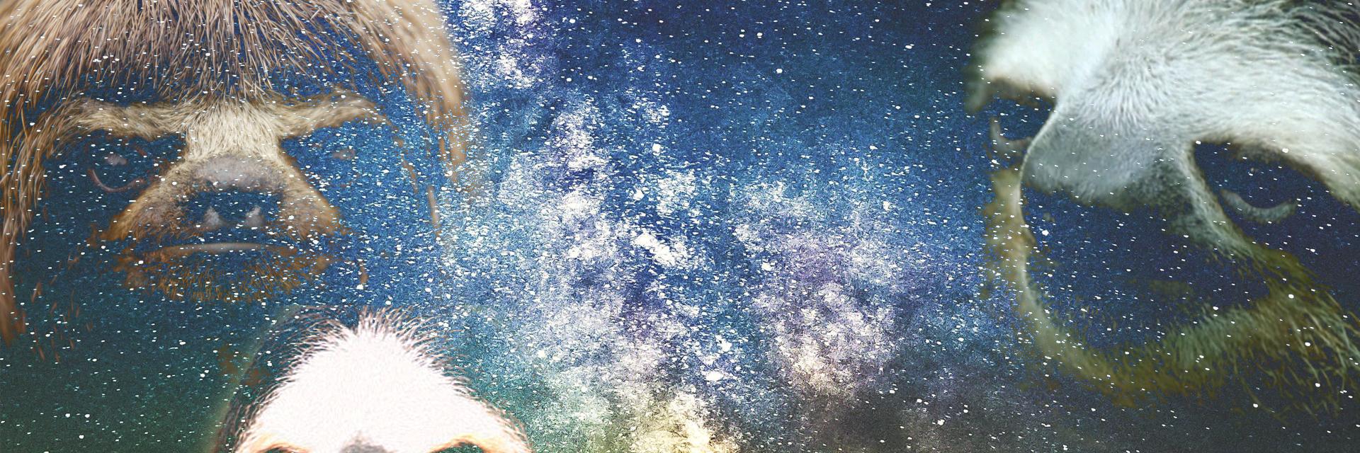 PrinzessPaige's profile banner image