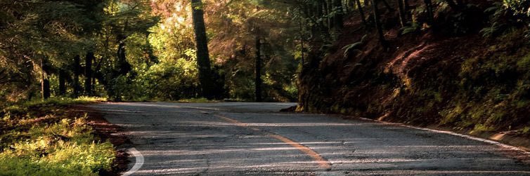 AngeloTovari's profile banner image