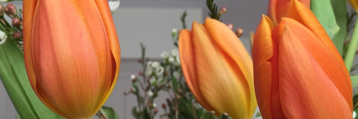 MrsHasseler's profile banner image
