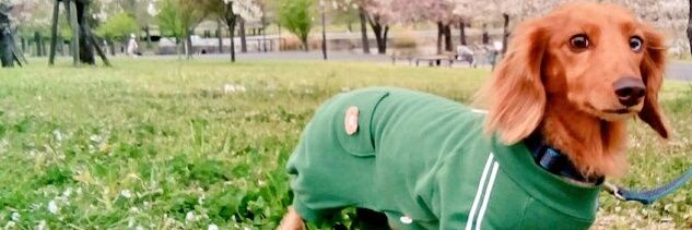 ゆっこ、ボロは着てても心は錦 banner