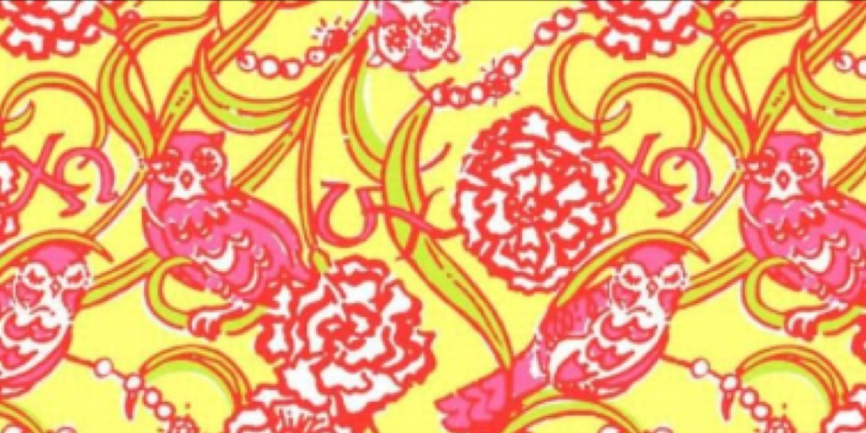 vnphillips's profile banner image