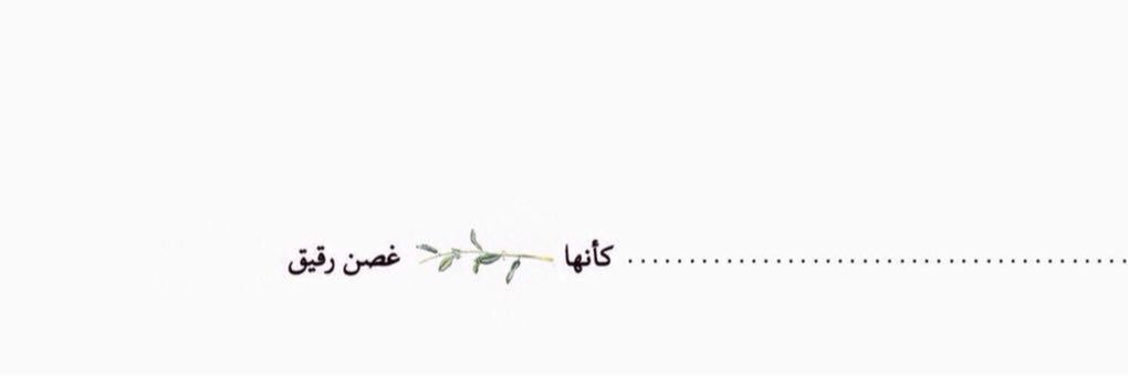 abeeer14's profile banner image