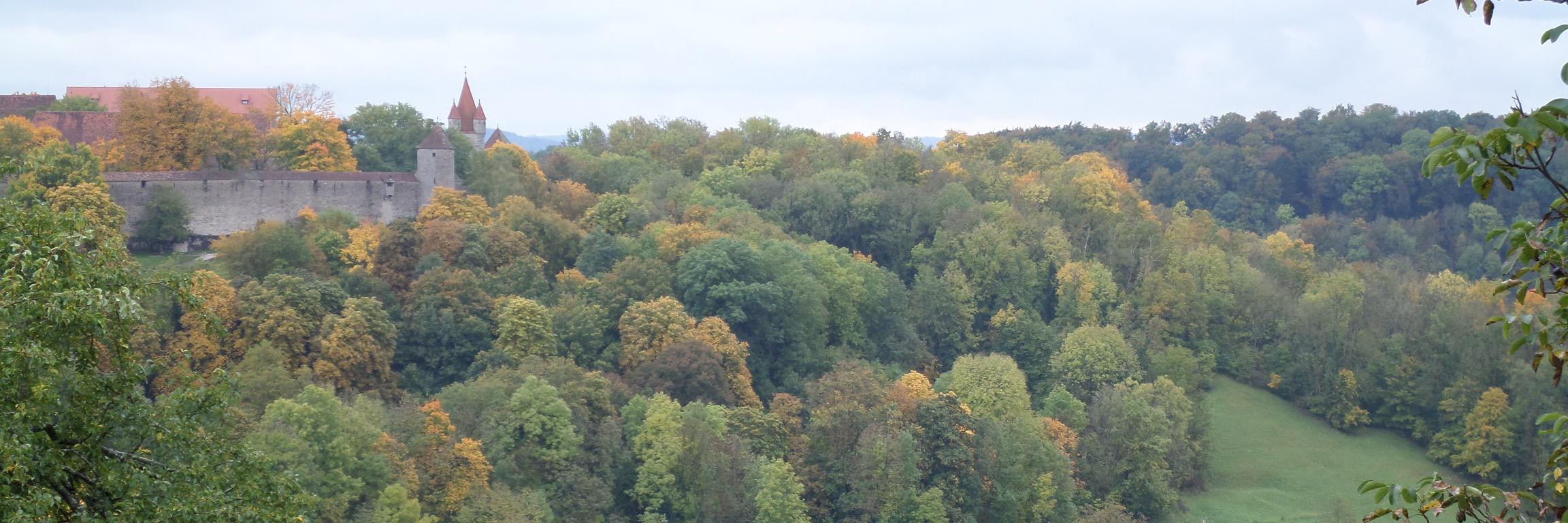 Carrie Peterson banner