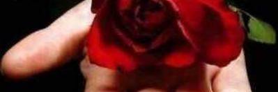 khkhs12's profile banner image