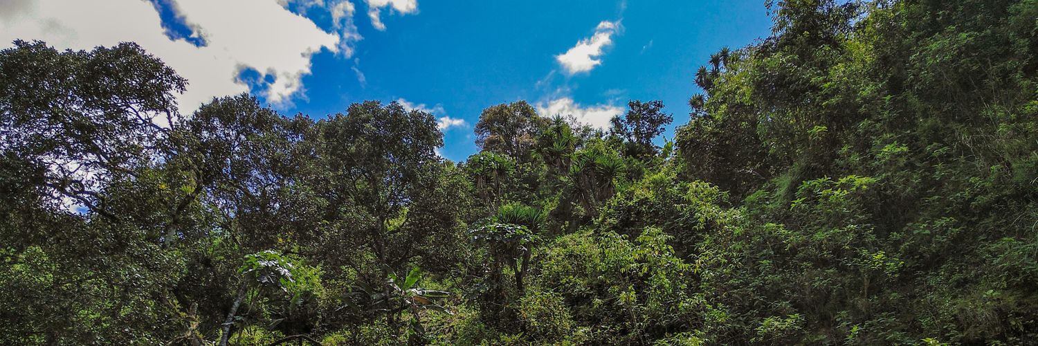 PableteMedi's profile banner image