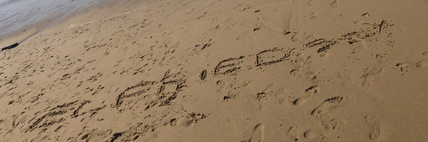 elfriiedee's profile banner image