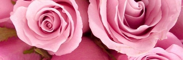 kelykelyssa's profile banner image