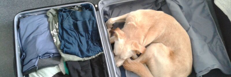 Aïda Marimon banner