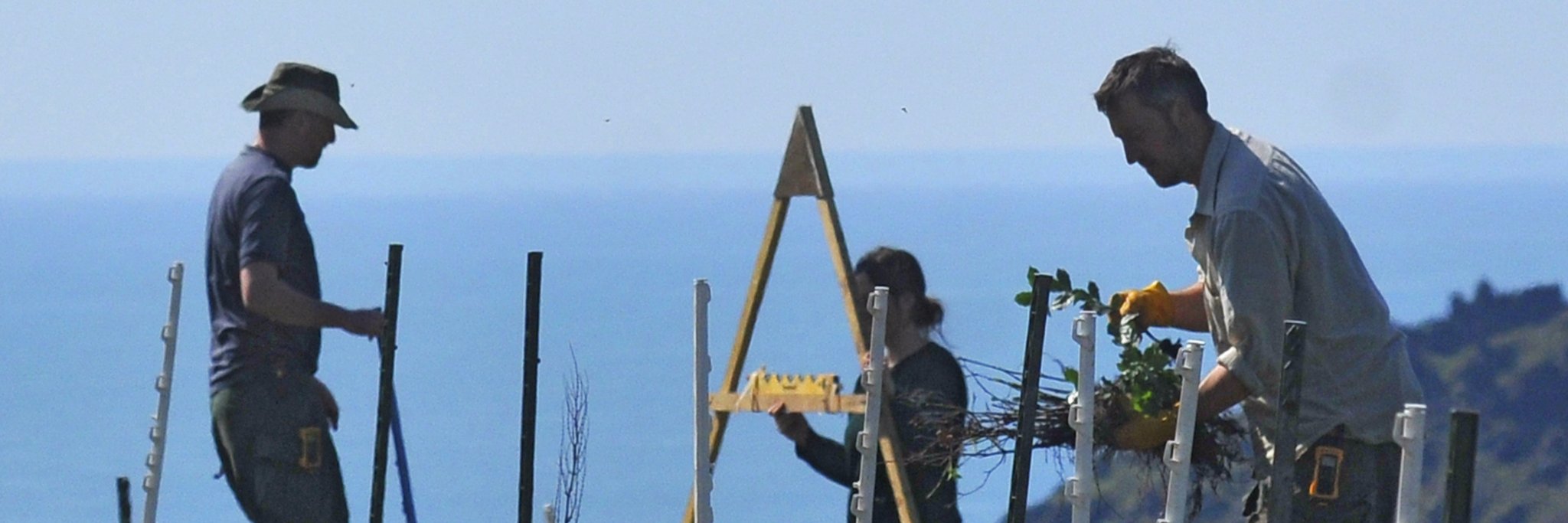 Tim Green banner