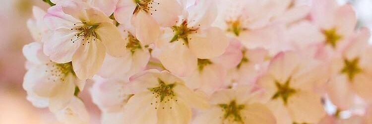 Vicky_Gordon's profile banner image