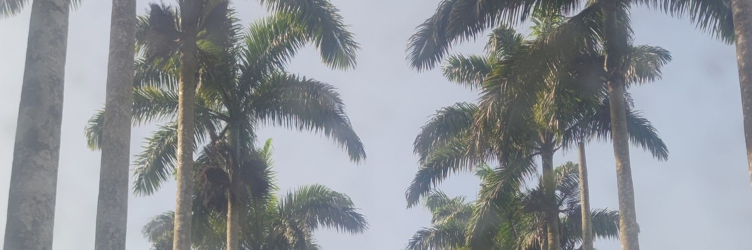 odushmix's profile banner image