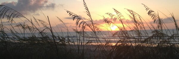 dpuma_3 Profile Banner