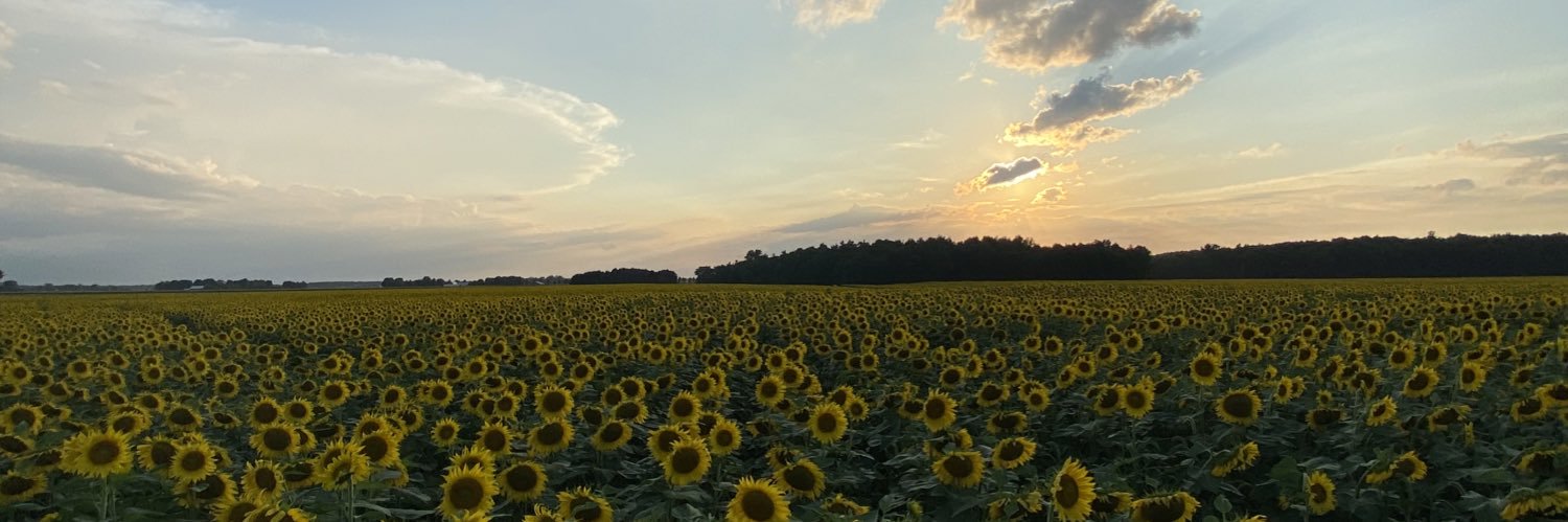 MeganH_39's profile banner image