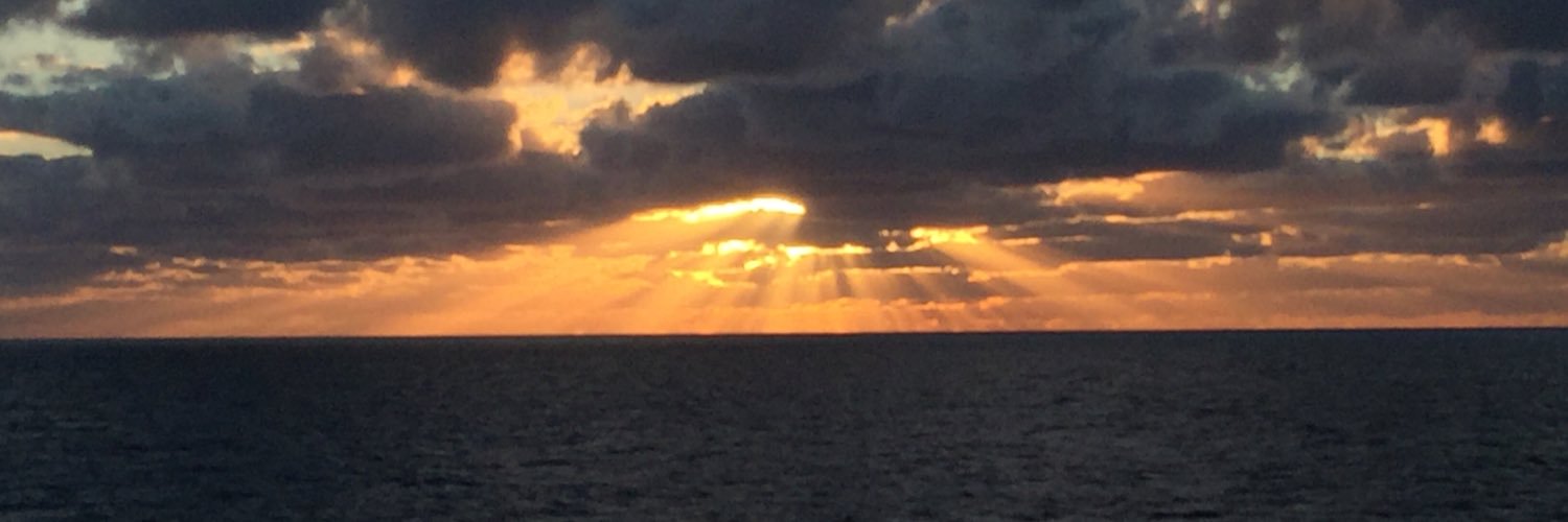 mcdecaf's profile banner image