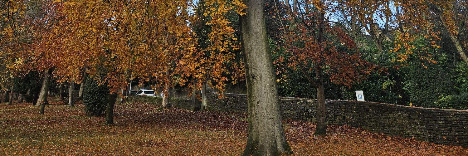 RachelNBishop's profile banner image