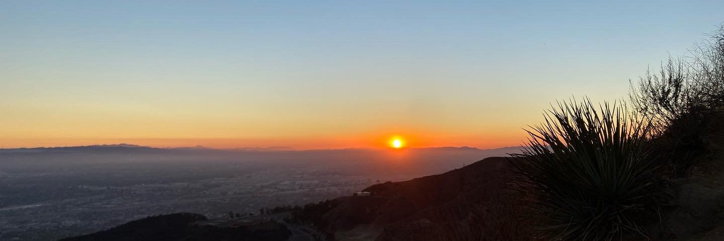 haunted tweet banner