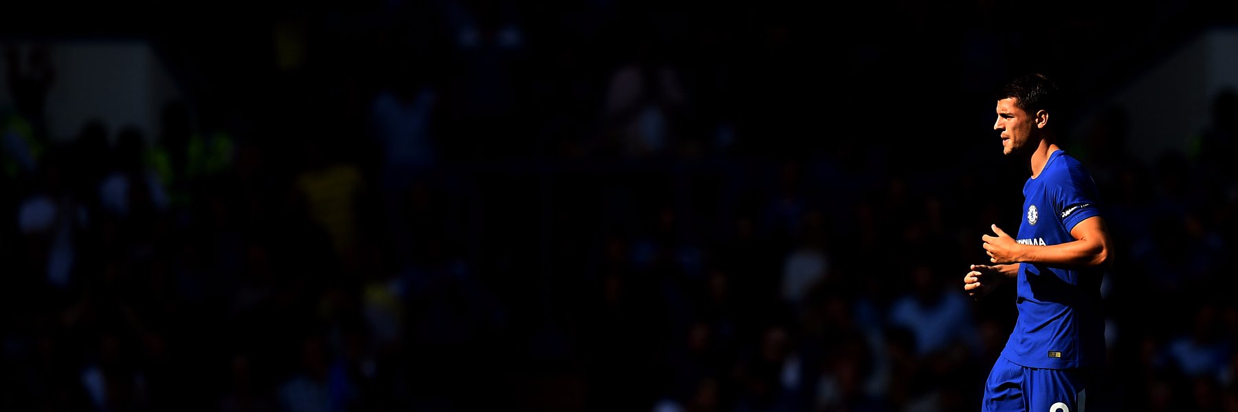 Milo 🛋 banner
