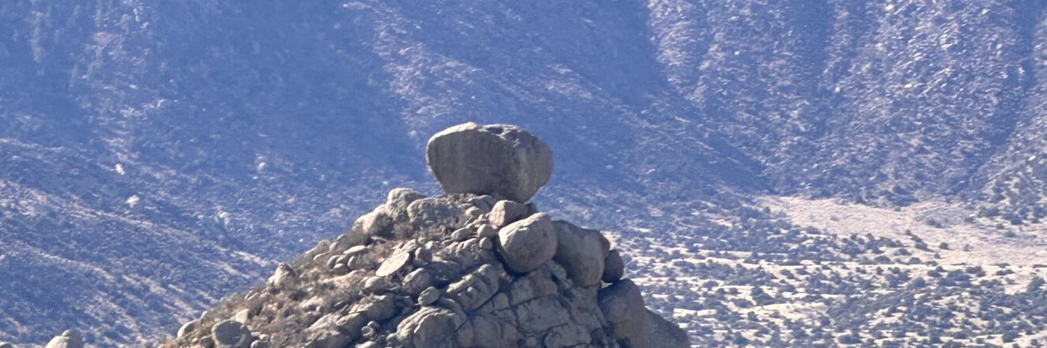 stevesharkey's profile banner image