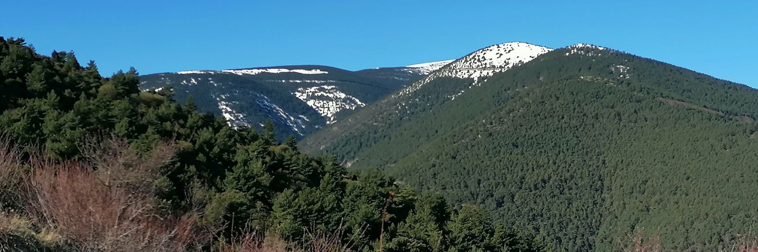 chorcheras's profile banner image