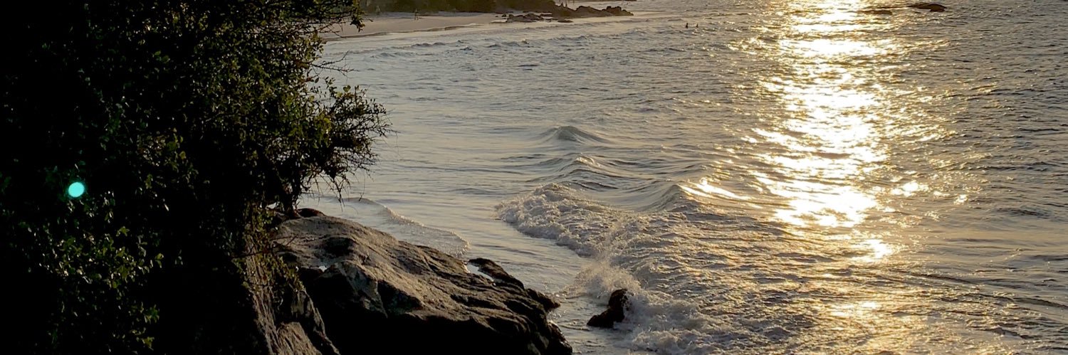 carlicrescini's profile banner image