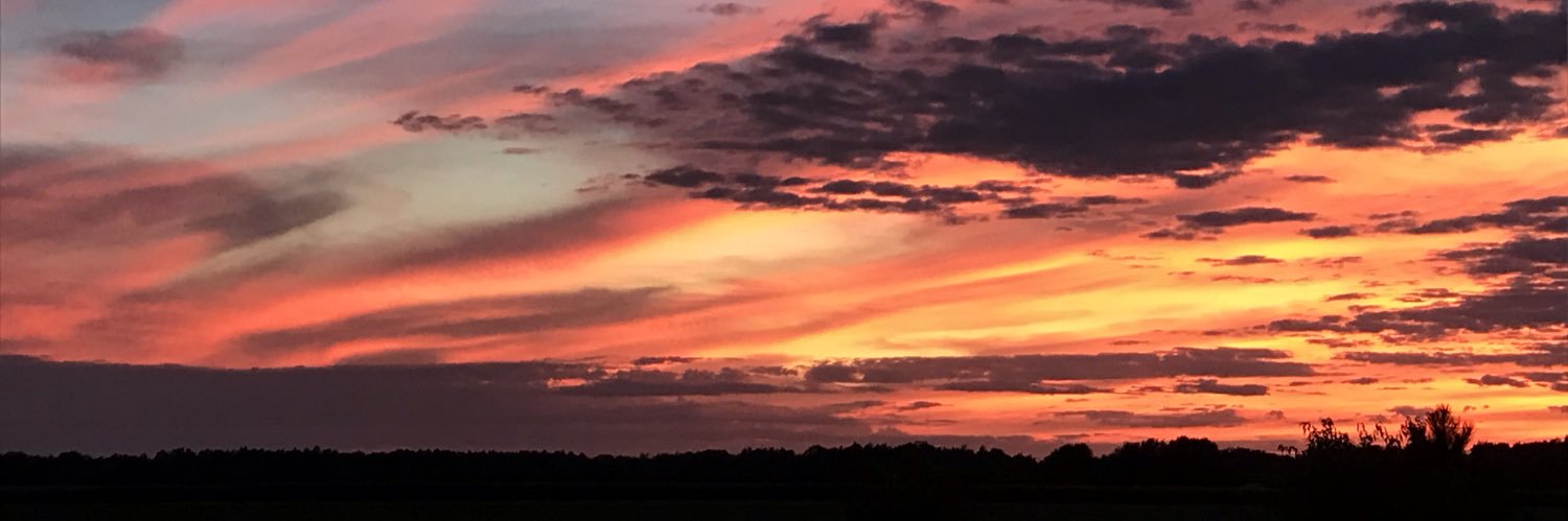 amber_wesney's profile banner image