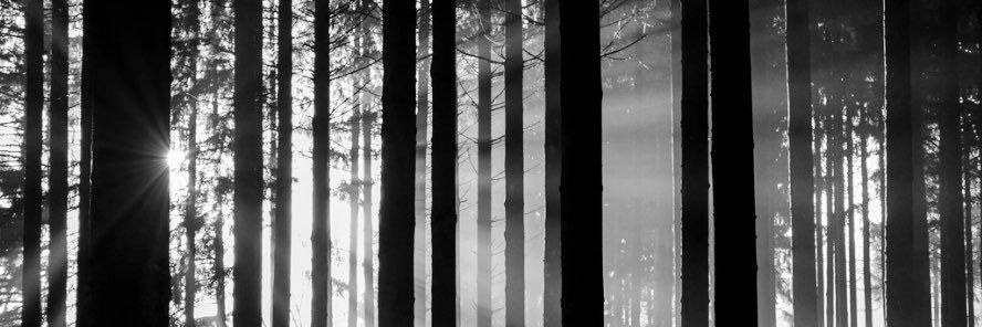 KeavenD's profile banner image