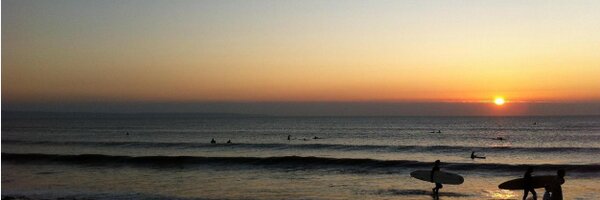 swinhoe Profile Banner