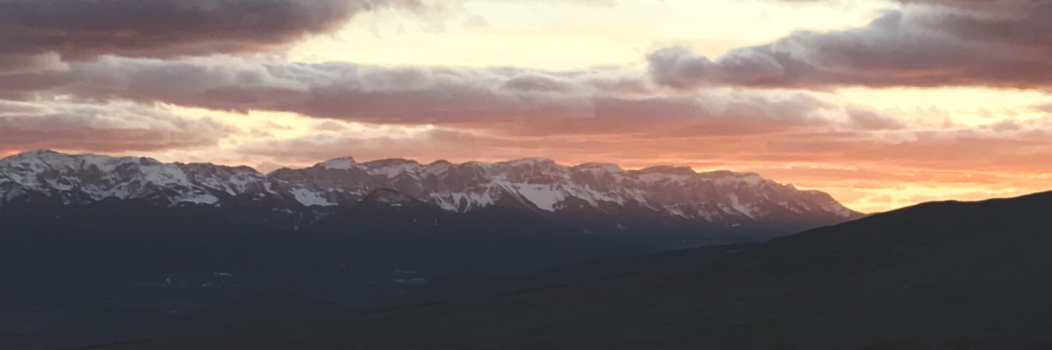 lfarrec's profile banner image