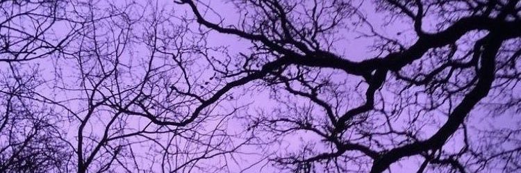 ZombieBarbie31's profile banner image