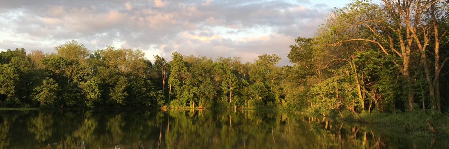 cotywillyerd's profile banner image