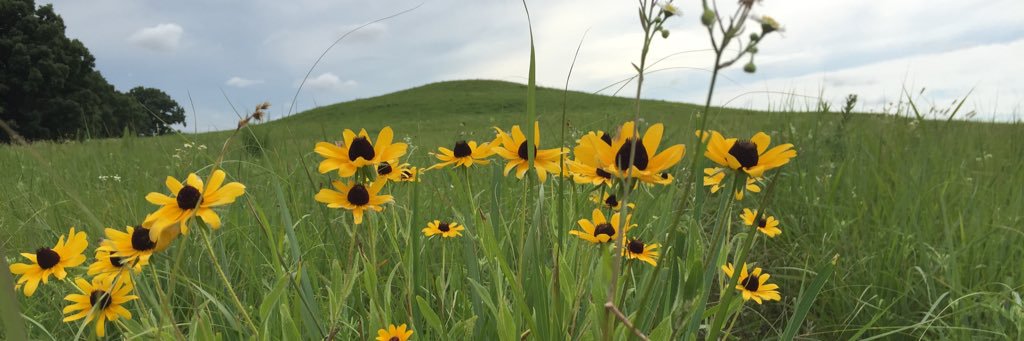 amunns27's profile banner image
