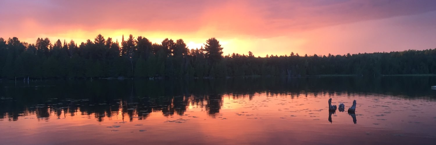 liamfiebig's profile banner image