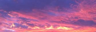 lizjones79's profile banner image