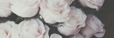 brooke_mcg's profile banner image