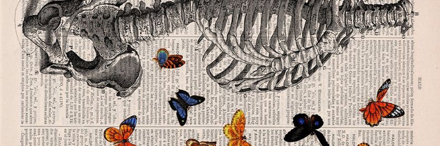 The Last of Liza banner
