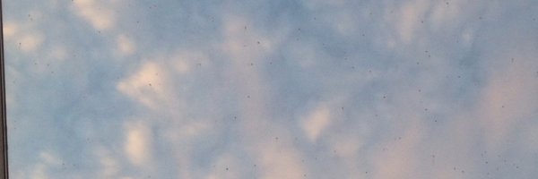 sydfkr Profile Banner