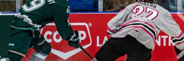 Stephen Bibeau banner