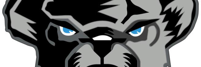 LDellaFera's profile banner image