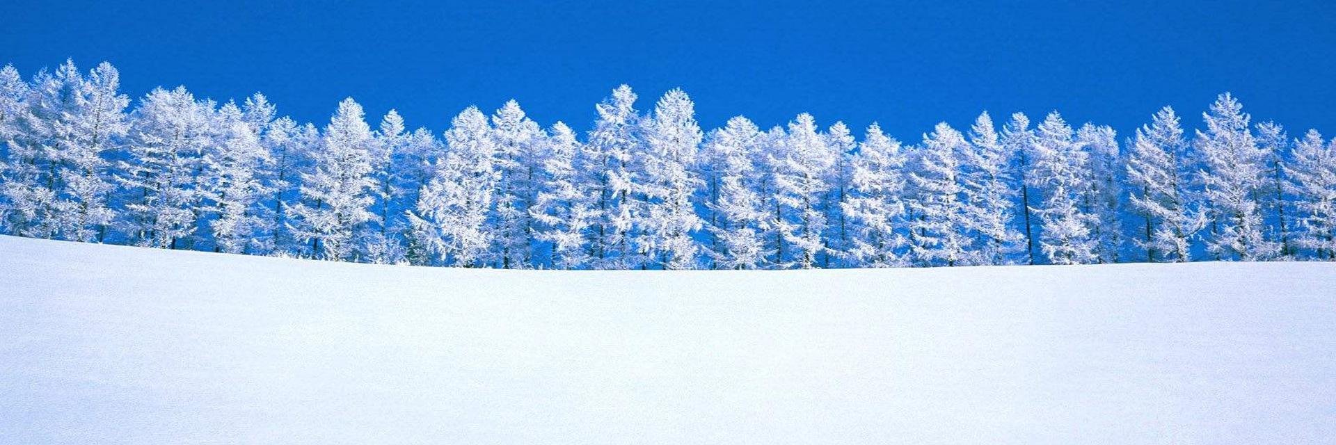 jamiewarren's profile banner image