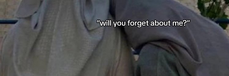 ( ͡° ͜ʖ ͡°) 🇵🇸🇮🇷 banner