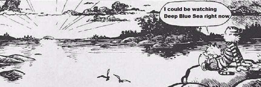 Mark Hofmeyer banner