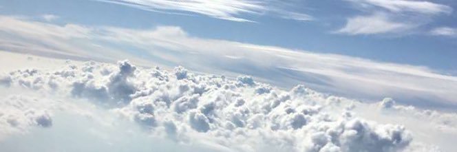 ElJefePancho_'s profile banner image