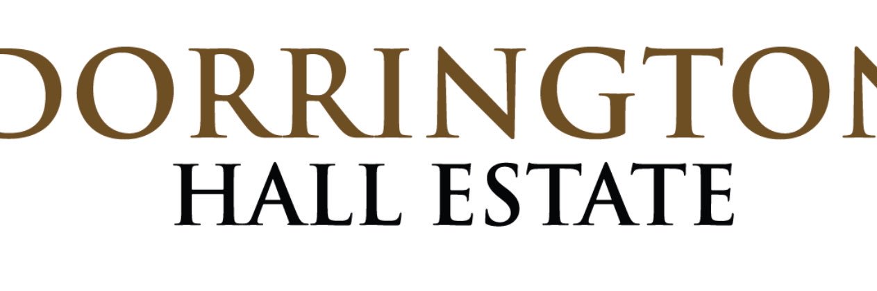 Victoria Boardman banner