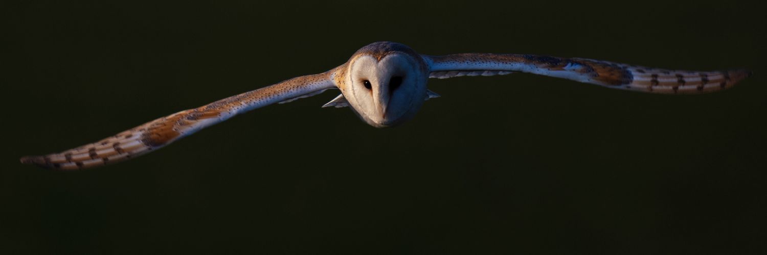 Stuphotoman's profile banner image