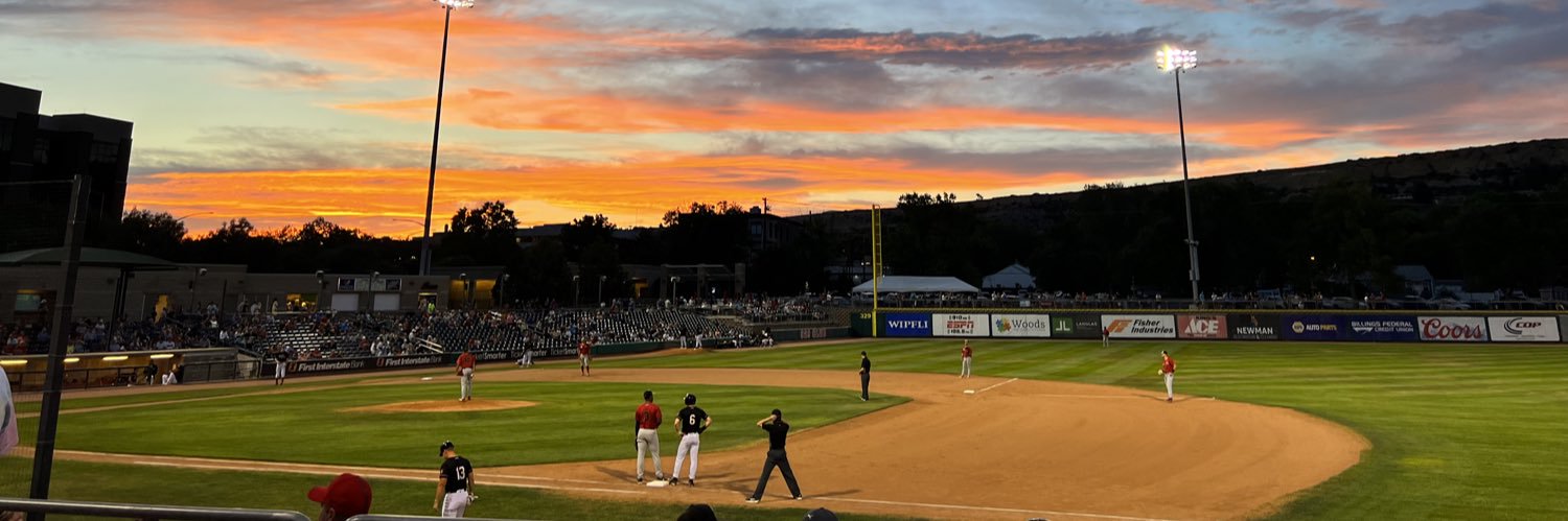 Billings Mustangs banner