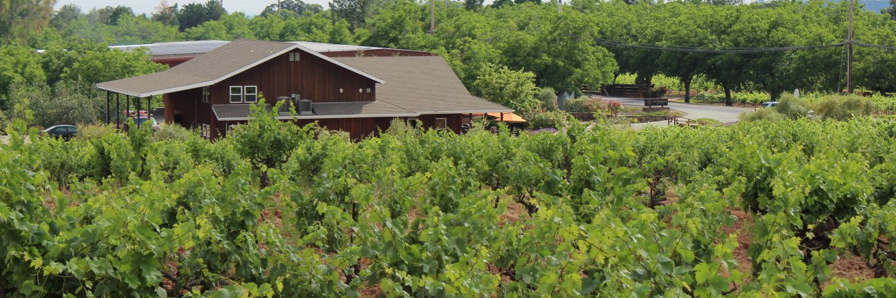runquistwines's profile banner image