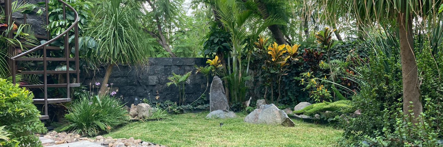 AnyReynoso's profile banner image
