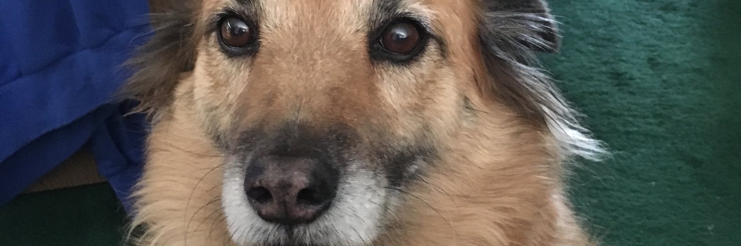 JordanLane27's profile banner image