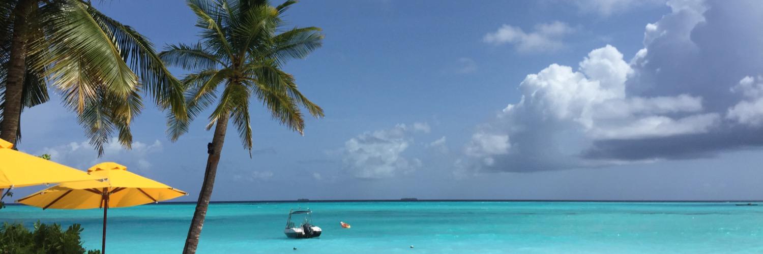 Louise Scott DL 🐝 banner