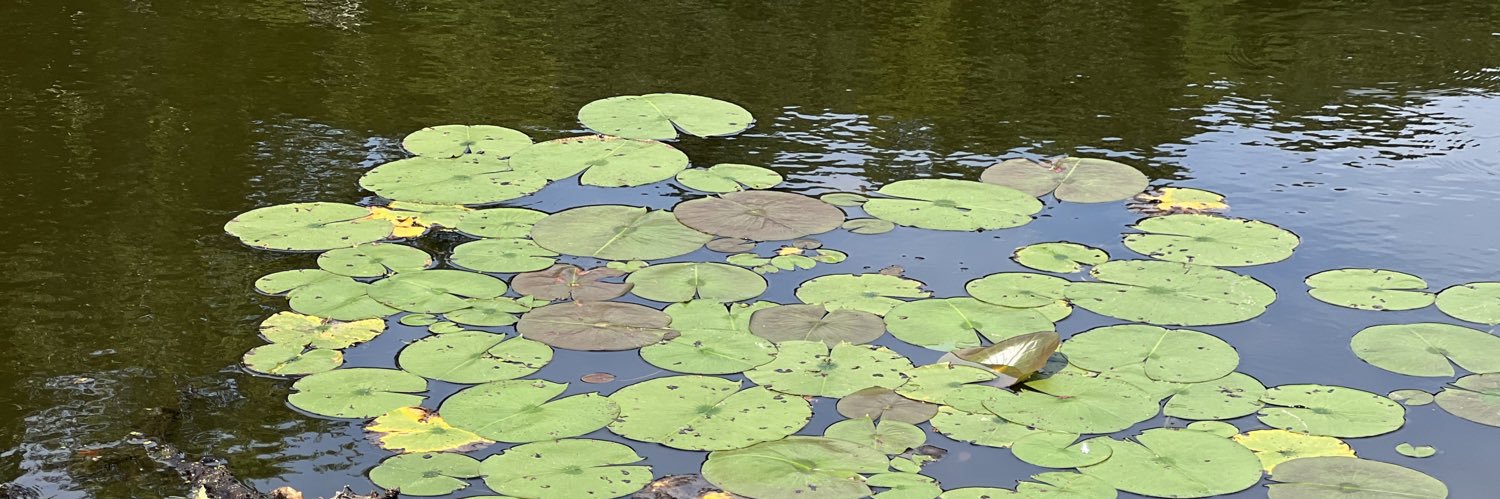 erinjexplores banner